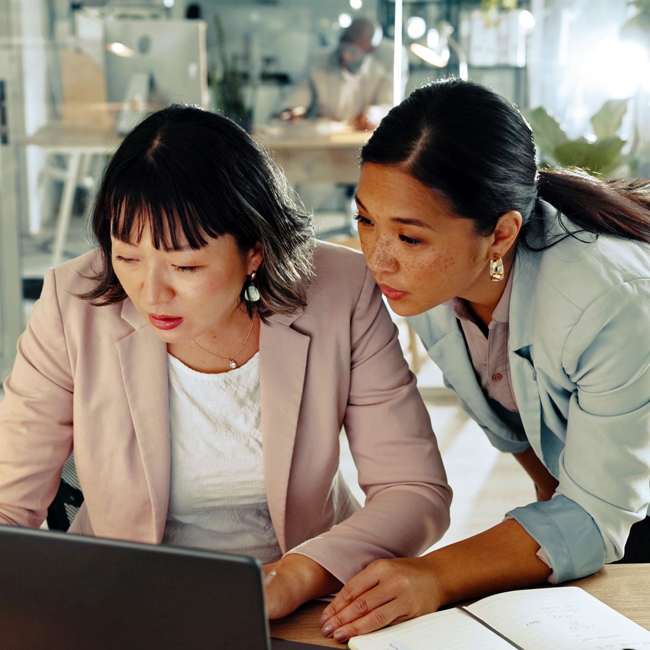 Women working together at a computer